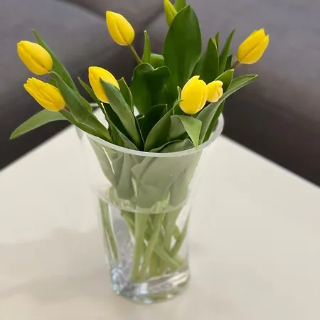 Golden Hour Apartments- Plac Slowianski 43 * Świnoujście