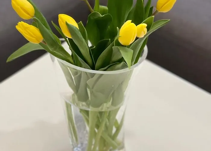 Golden Hour Apartments- Plac Slowianski 43 * سفينويتشي