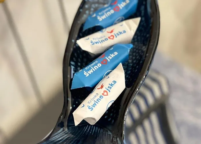 Golden Hour Apartments- Plac Slowianski 43 سفينويتشي